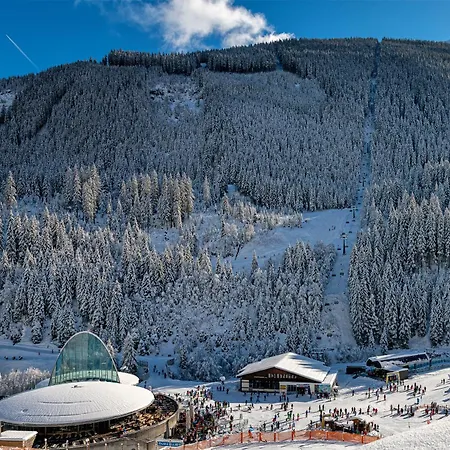 Herzwies 公寓 巴特霍夫加施泰因