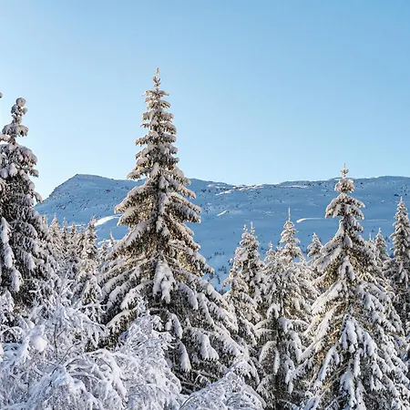 Appartement Herzwies Bad Hofgastein