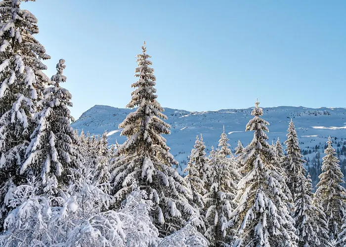 公寓 Herzwies 巴特霍夫加施泰因