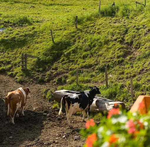 Herzwies * 巴特霍夫加施泰因